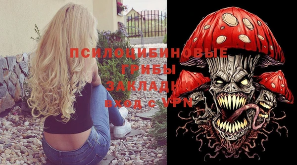 MDMA Бородино