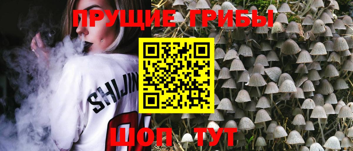 Галлюциногенные грибы Psilocybe Воскресенск
