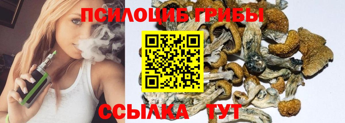 Псилоцибиновые грибы MAGIC MUSHROOMS  купить наркоту  Воскресенск  Вход с VPN 